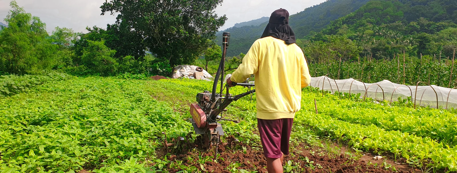 Original BOWA agriculture and technology campaign