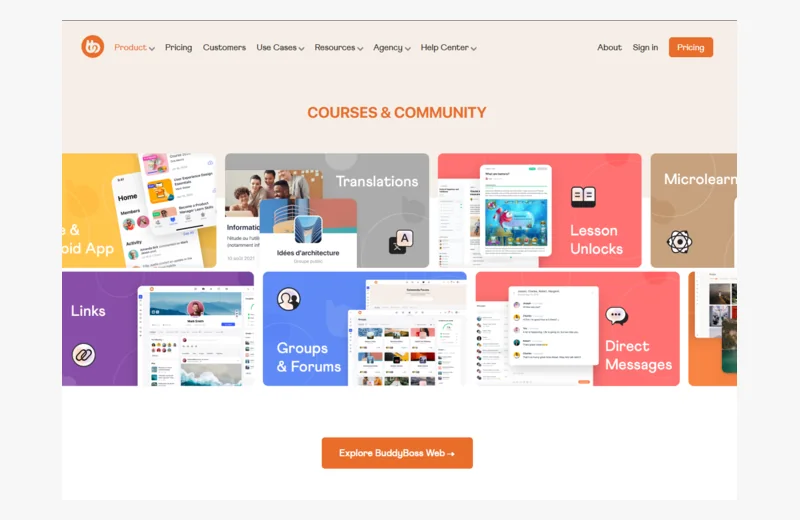 BuddyBoss website proof screenshot optimized for web display.